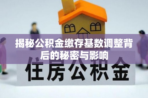 枋山揭秘公积金缴存基数调整背后的秘密与影响