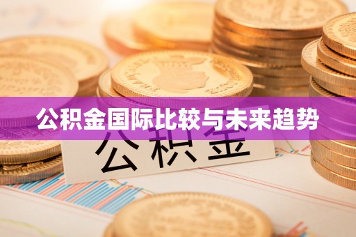 枋山公积金国际比较与未来趋势