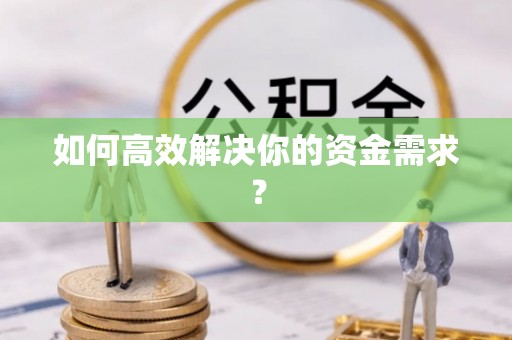枋山如何高效解决你的资金需求？