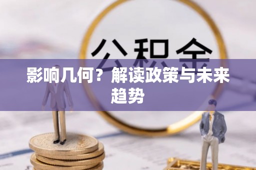 枋山影响几何？解读政策与未来趋势