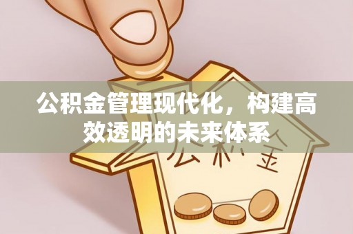 枋山公积金管理现代化，构建高效透明的未来体系