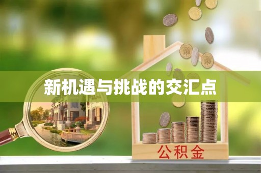 枋山新机遇与挑战的交汇点