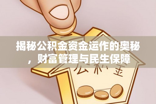 枋山揭秘公积金资金运作的奥秘，财富管理与民生保障