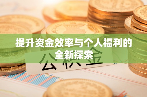 枋山提升资金效率与个人福利的全新探索