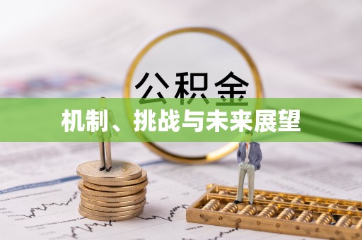 枋山机制、挑战与未来展望